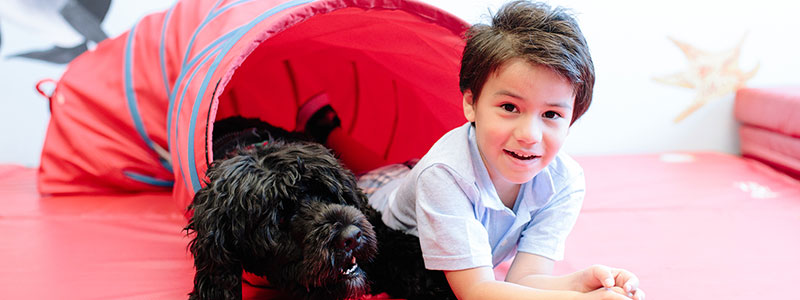 Children's Health Pet Therapy Program
