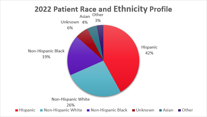 A pie graph depicting the race and ethnicity profile for Children’s Health patients shows forty two percent Hispanic, twenty six percent white, nineteen percent black, six percent unknown race and ethnicity, four percent Asian, and three percent other.