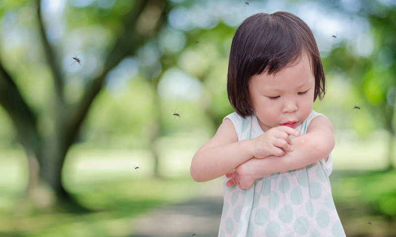 Little girl looking at a mosquito bite on her arm