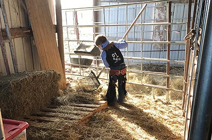 Jett cleaning the barn