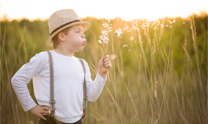 Boy in a field blowing flowers