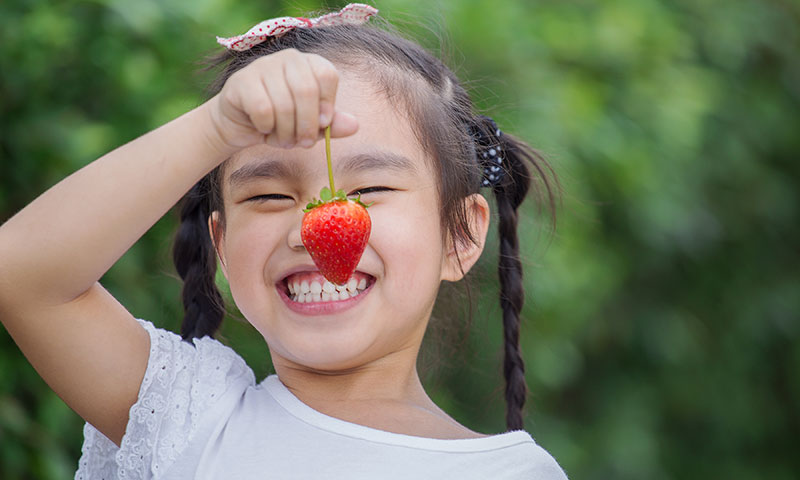 Little girl holding up fresh picked strawberry