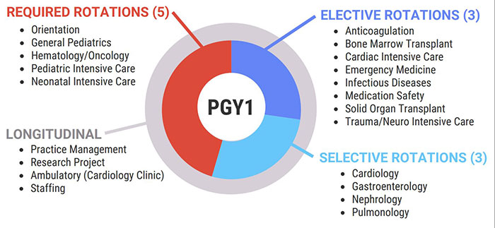 PGY1 program structure graphic