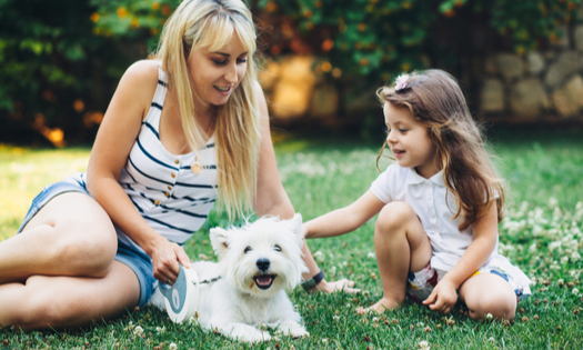 Mom with her child relaxing with English Highland White Terrier dog on grass in the backyard