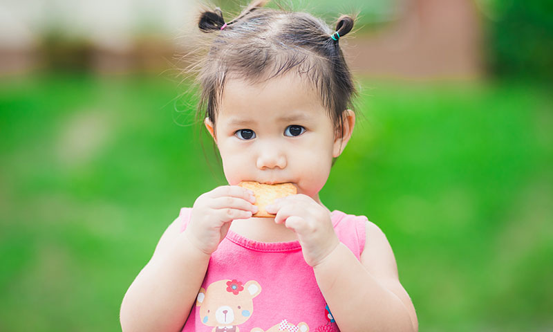 little girl eating a cookie