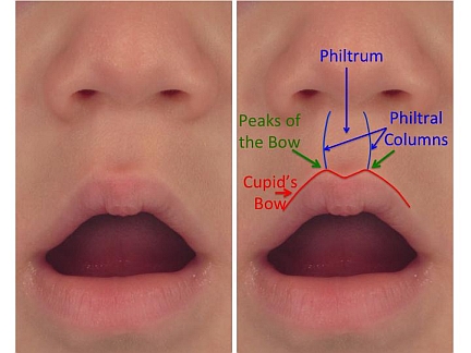 a diagram of a child's mouth and nose