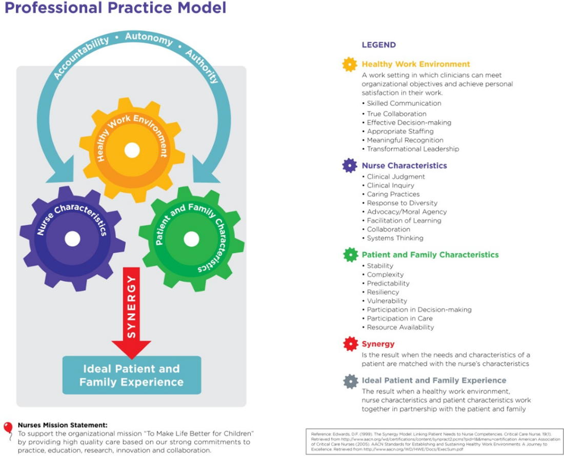 Professional Practice Model