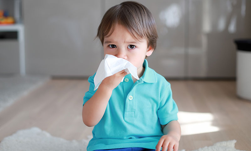 Little boy holding tissue to blow his nose